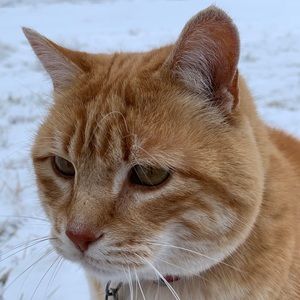 Meet your Posher, Carley